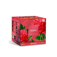 Пионы Салют купить в Кизеле | kizel.salutsklad.ru