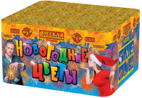 Новогодние цветы Фейерверк купить в Кизеле | kizel.salutsklad.ru