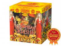 Красивая жизнь Фейерверк купить в Кизеле | kizel.salutsklad.ru