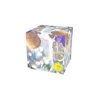 Новогодняя ночь Салют купить в Кизеле | kizel.salutsklad.ru