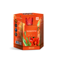 Тюльпаны Салют купить в Кизеле | kizel.salutsklad.ru