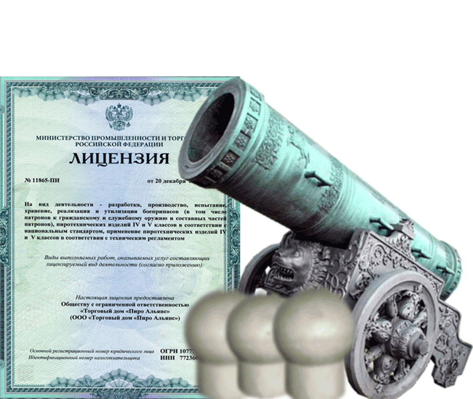 Заказать фейерверк на Новый Год - салют в Кизеле