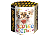 Счастье есть! Салют купить в Кизеле | kizel.salutsklad.ru