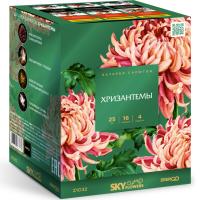 Хризантемы Фейерверк купить в Кизеле | kizel.salutsklad.ru