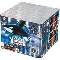 Косатка Фейерверк купить в Кизеле | kizel.salutsklad.ru